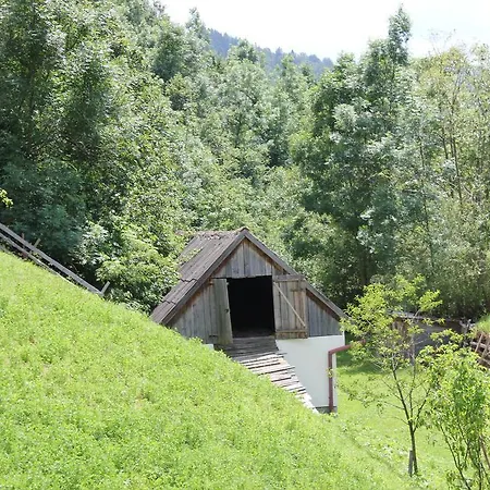 Guest house Teo *