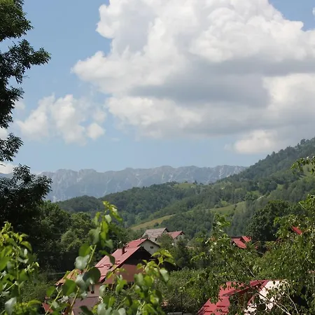 Guest house Teo Bran (Brasov)