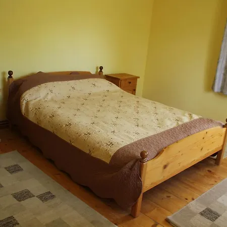 Guest house Teo Bran (Brasov)